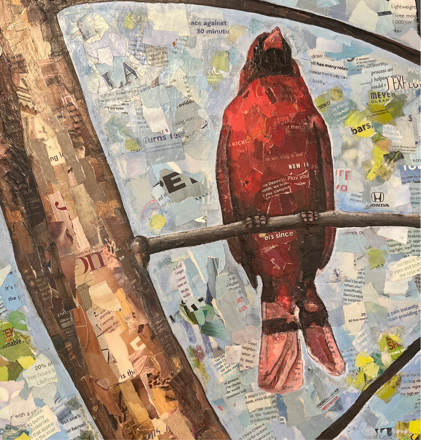 CARDINAL IN TREE-KIKI PIPER