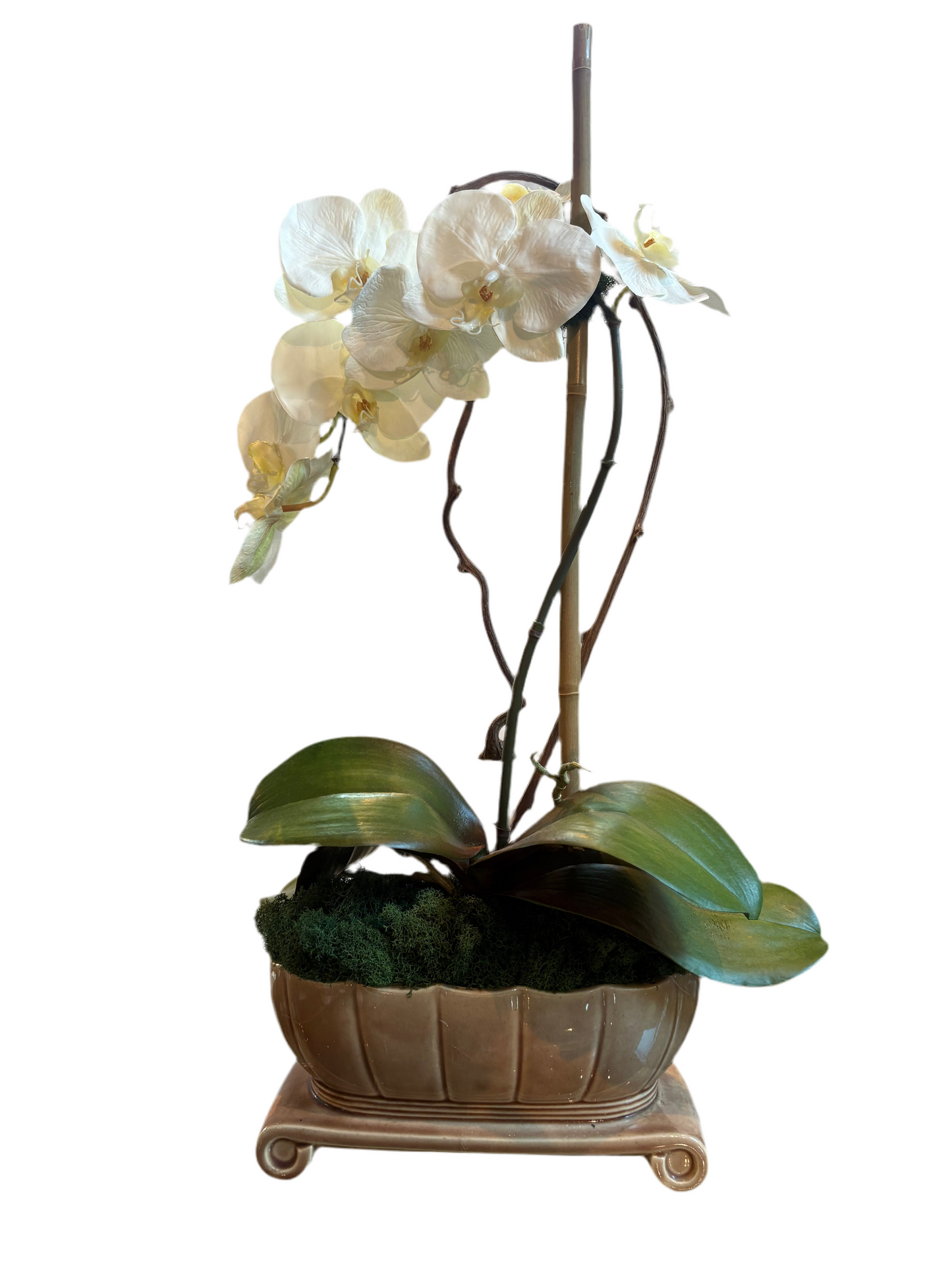 ORCHID IN POTTERY PLANTER