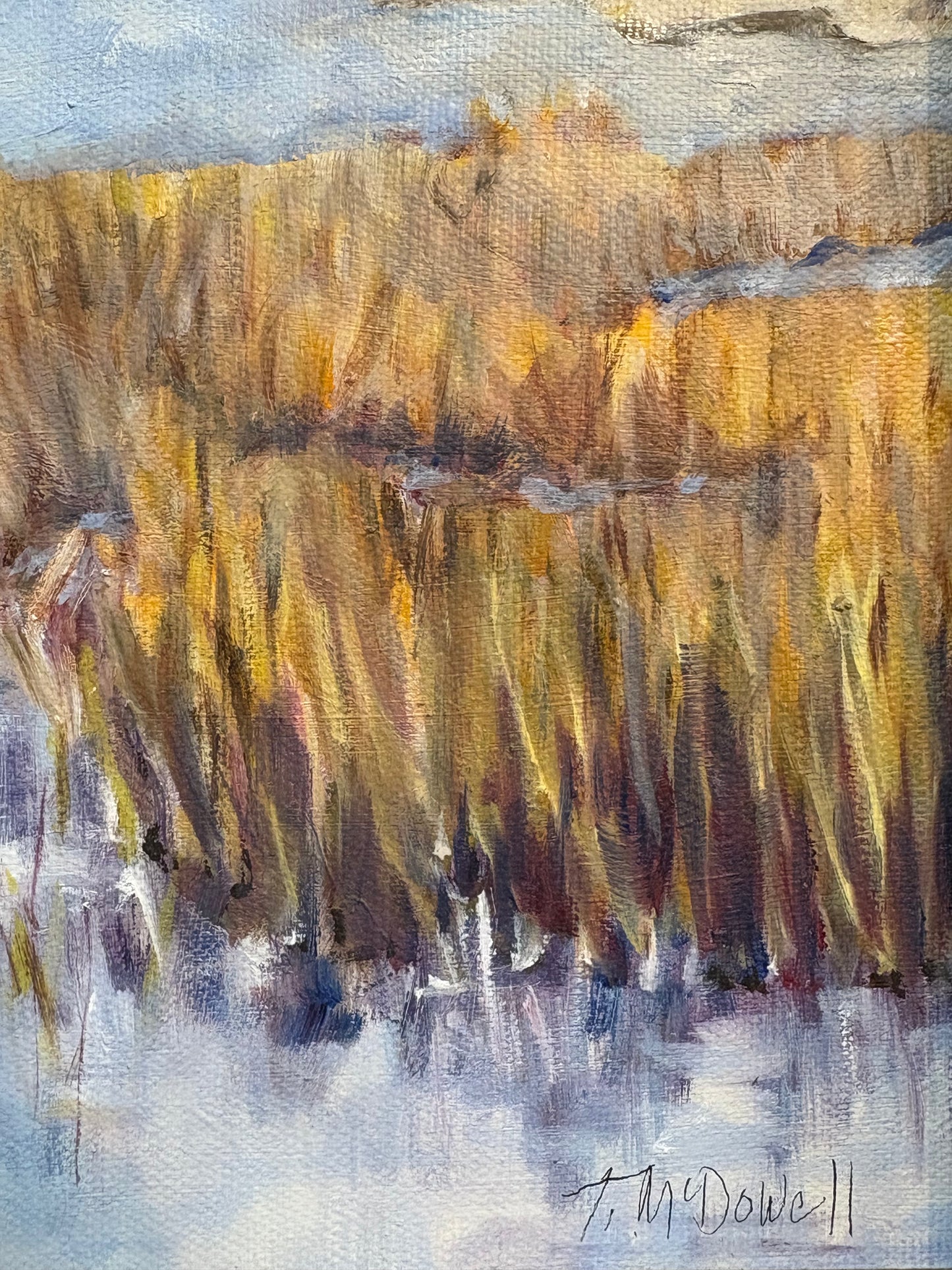 Marsh Madness Original by Truet McDowell