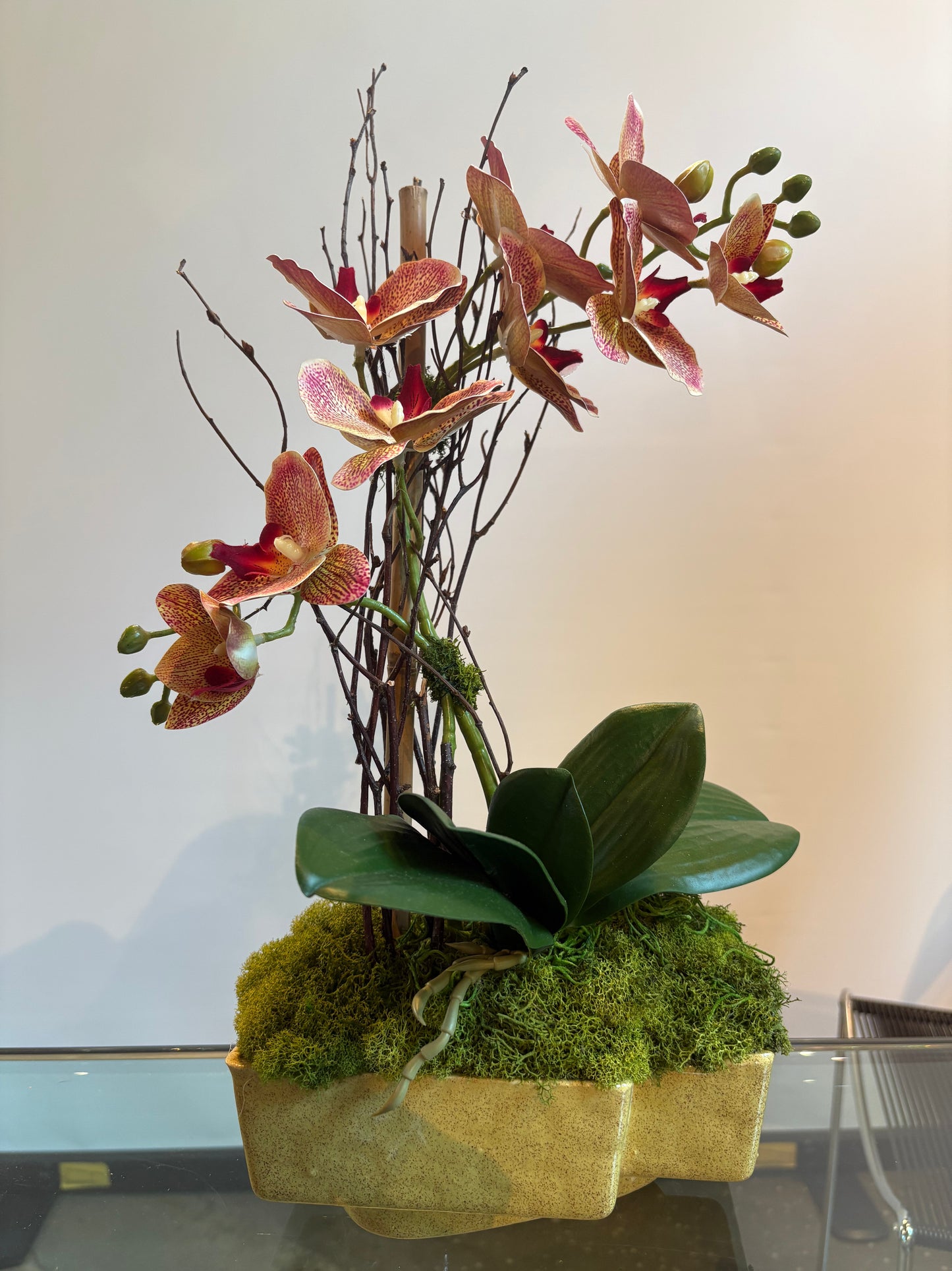 2 STEMMED CORAL ORCHID/PLANTER