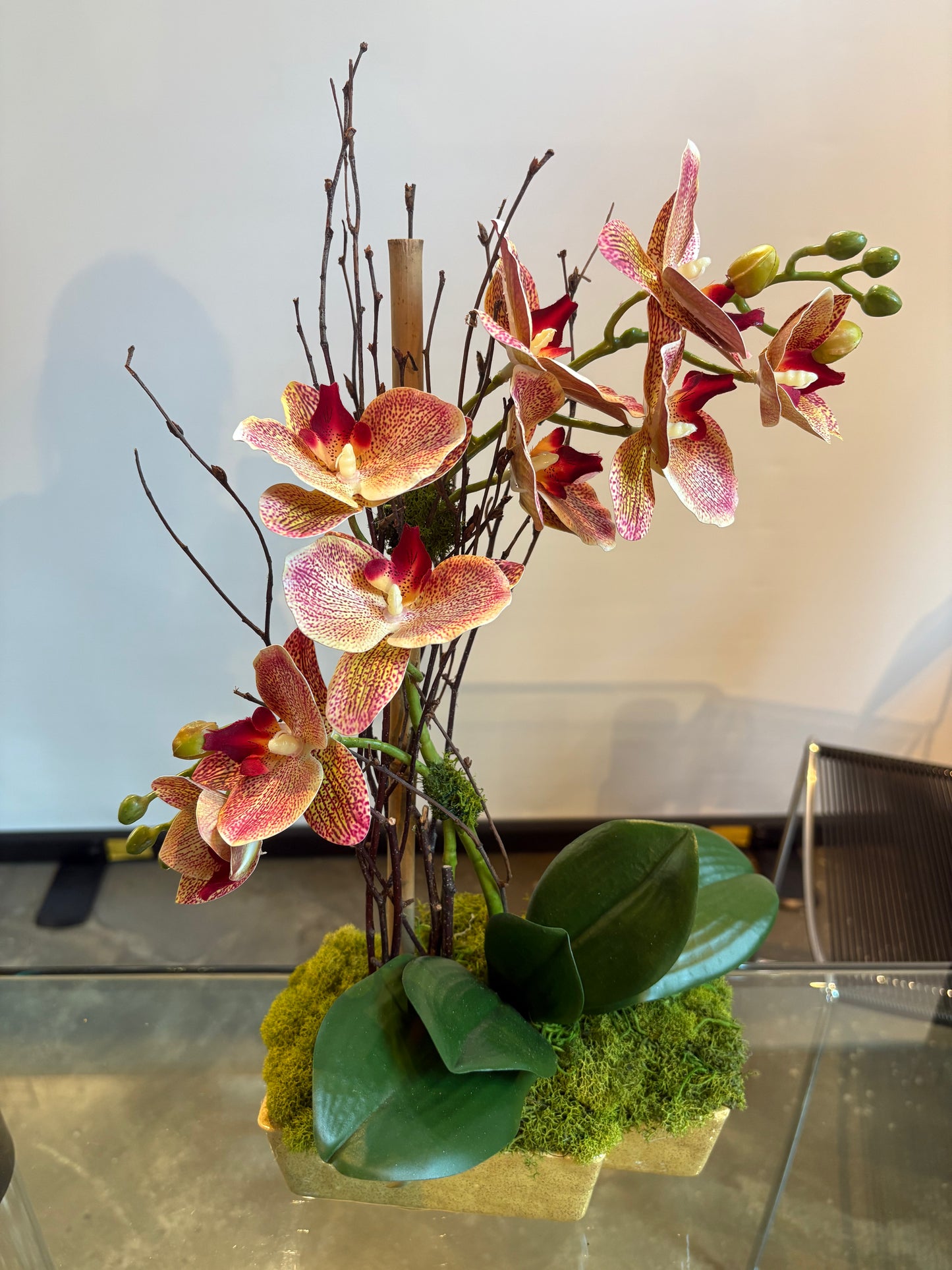 2 STEMMED CORAL ORCHID/PLANTER