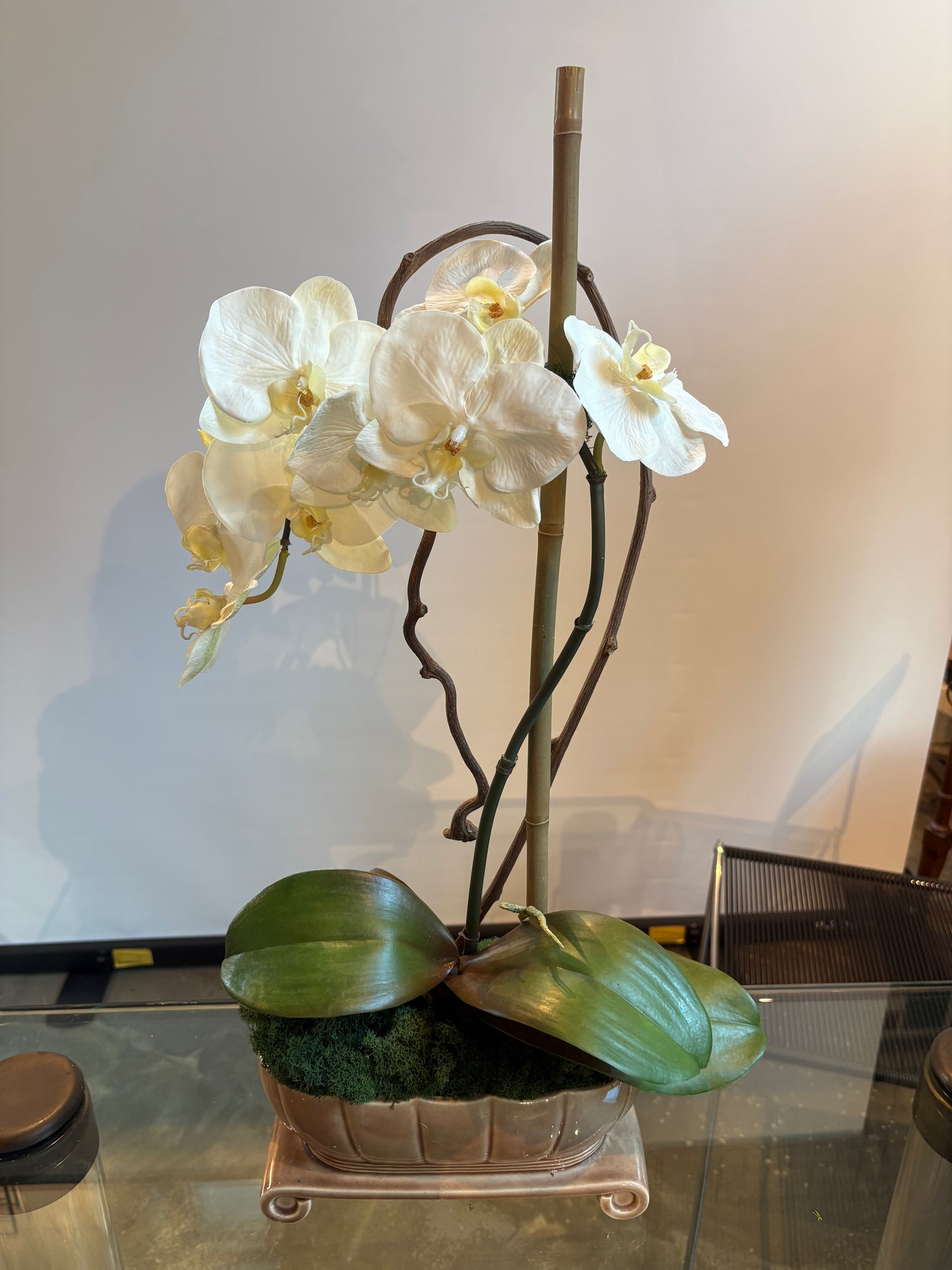 ORCHID IN POTTERY PLANTER
