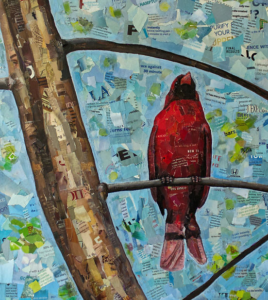CARDINAL IN TREE-KIKI PIPER