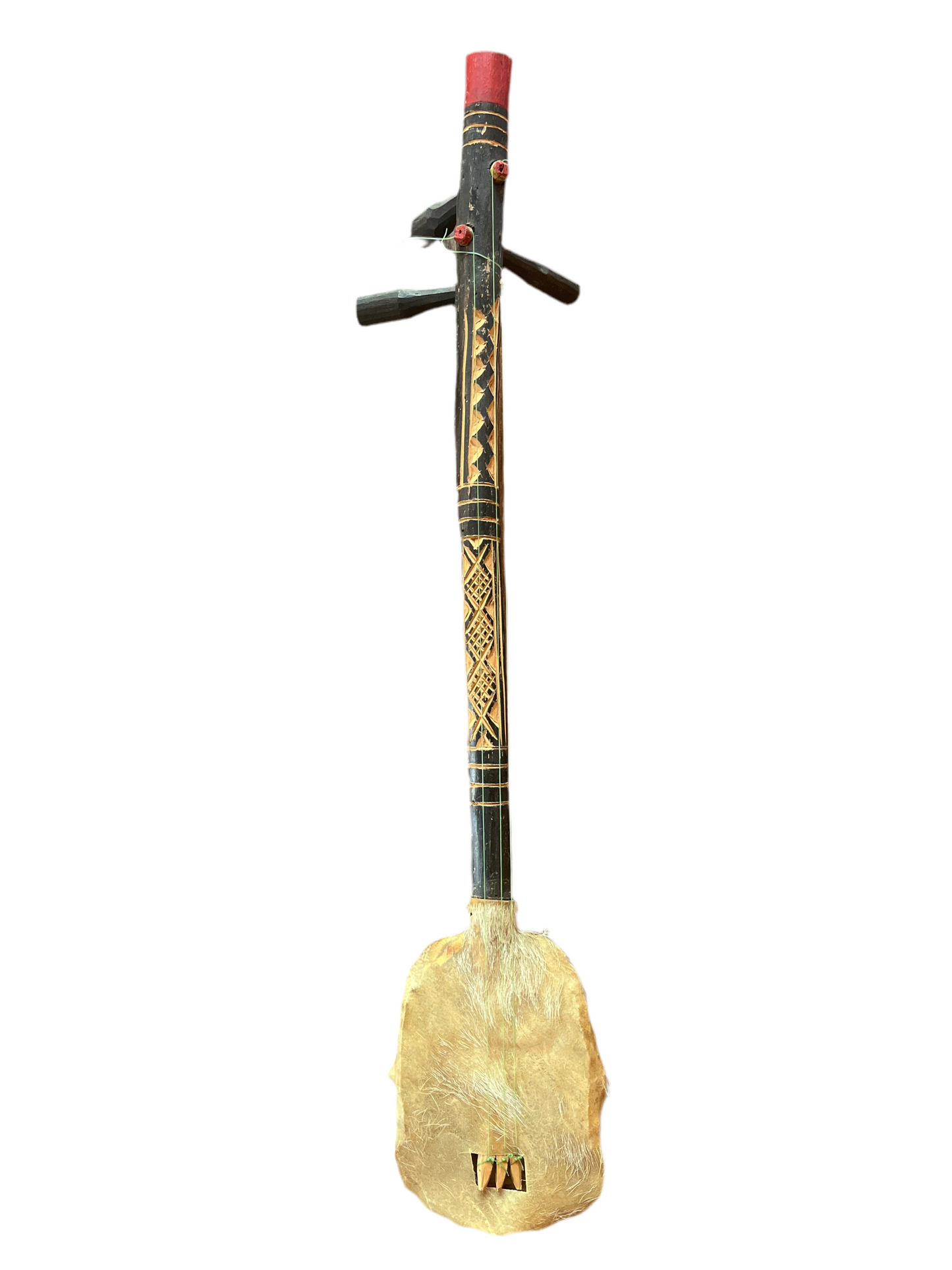 AFRICAN TORTOISE 3 STRING