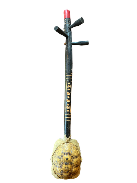 AFRICAN TORTOISE 3 STRING