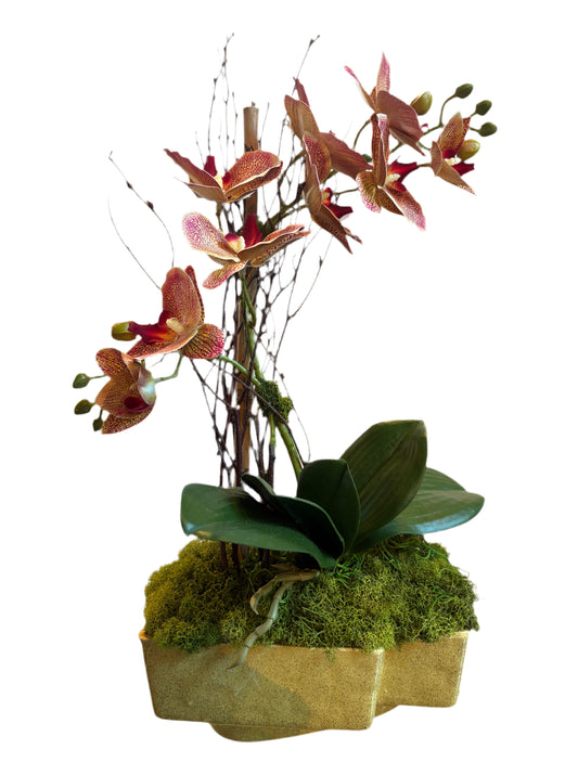 2 STEMMED CORAL ORCHID/PLANTER
