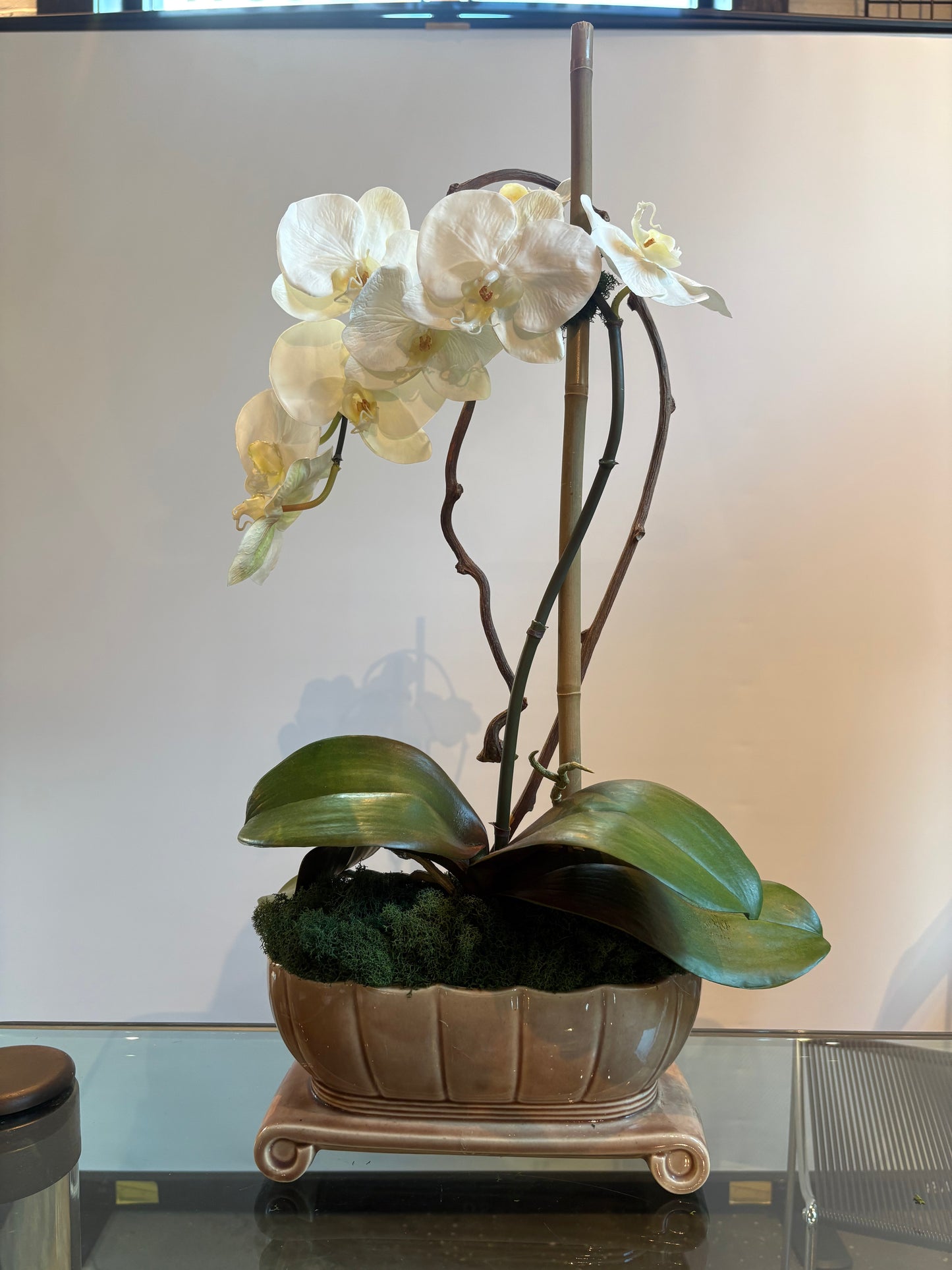 ORCHID IN POTTERY PLANTER