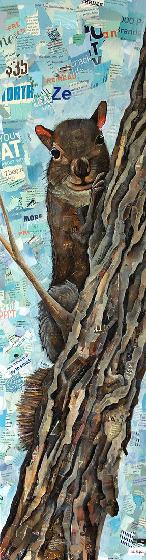 SQUIRREL IN TREE-KIKI PIPER